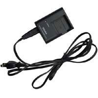 Sigma Replacement Lithium-ion Battery Charger BC-31 for the DP-1 (D00023)